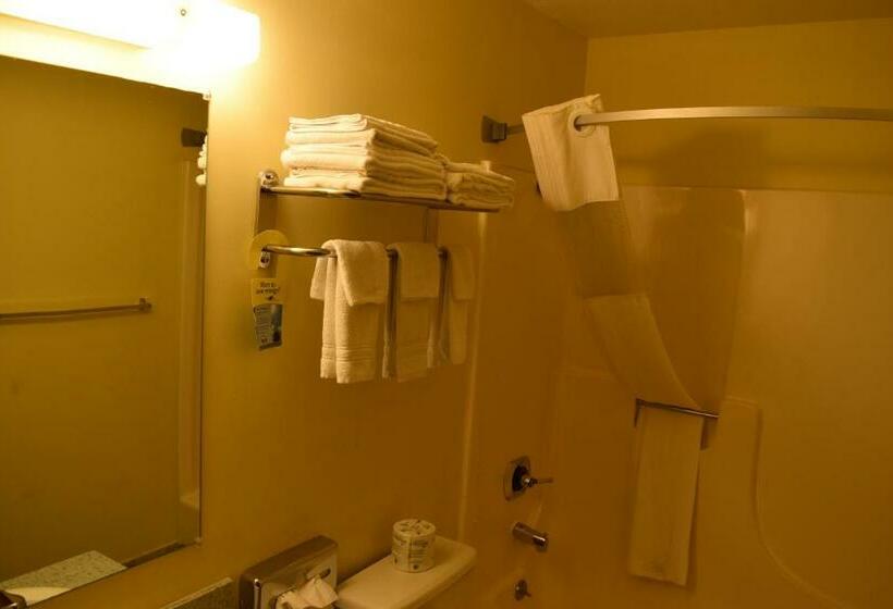 장애인을 위한 스탠다드 룸, Days Inn By Wyndham Grand Island