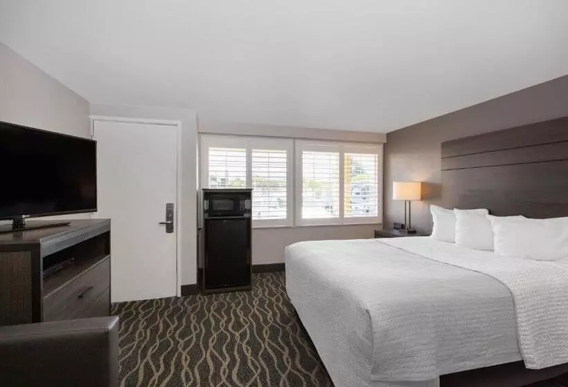 اتاق استاندارد با تخت بزرگ, Days Inn By Wyndham Ukiah