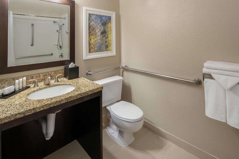 스위트 킹사이즈 침대, Embassy Suites By Hilton Seattle Tacoma International Airport