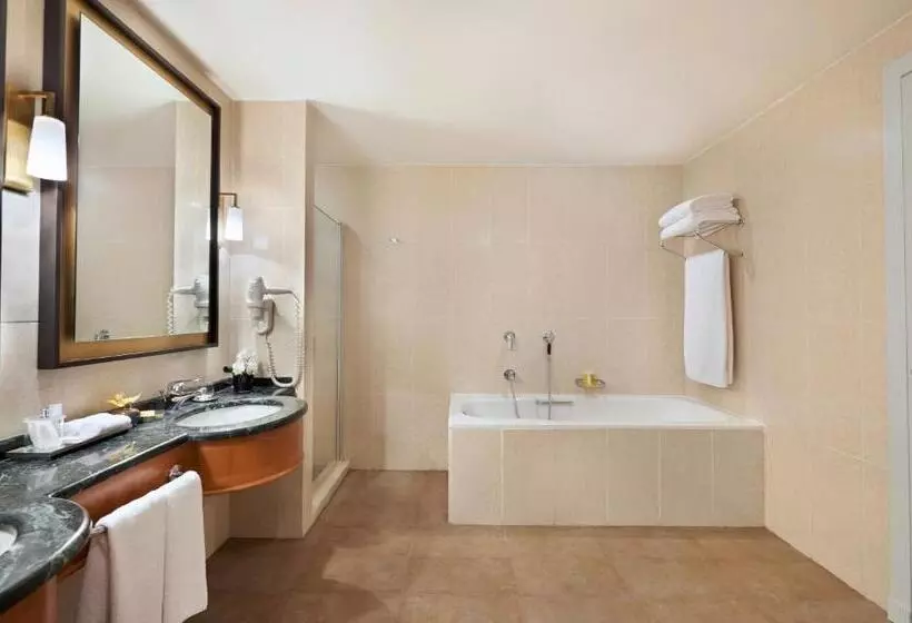 سوئیت با تخت بزرگ, Hyatt Regency Baku