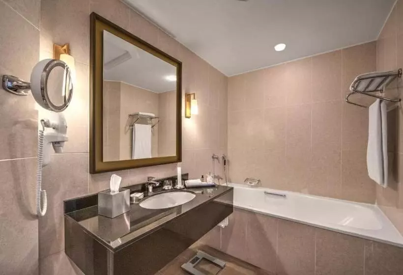 اتاق استاندارد با چشمانداز, Hyatt Regency Baku