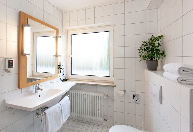 高级大房间, Ibis Saarbrücken City