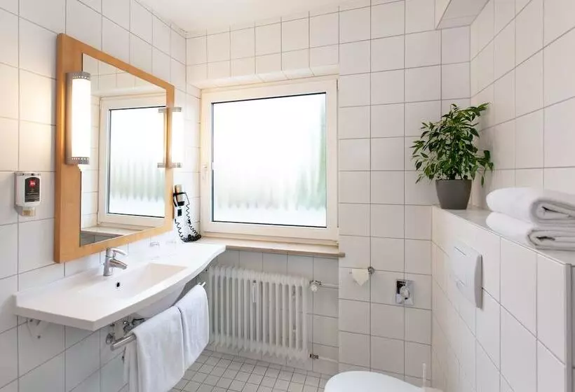 اتاق سوپریور, Ibis Saarbrücken City