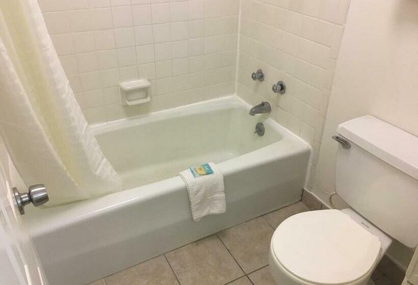 غرفه قياسيه سريرين مزدوجين, Liberty Inn   Collins