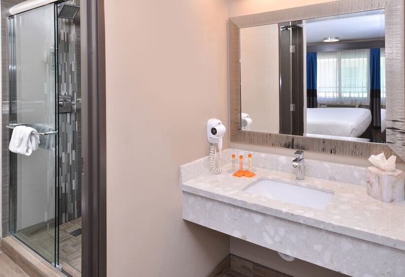 Номер Deluxe, Tarzana Inn