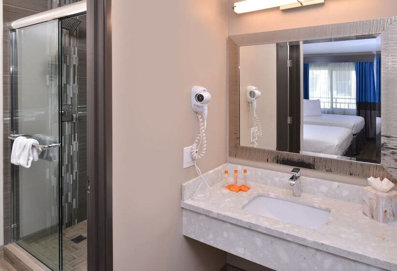 Номер Deluxe, Tarzana Inn