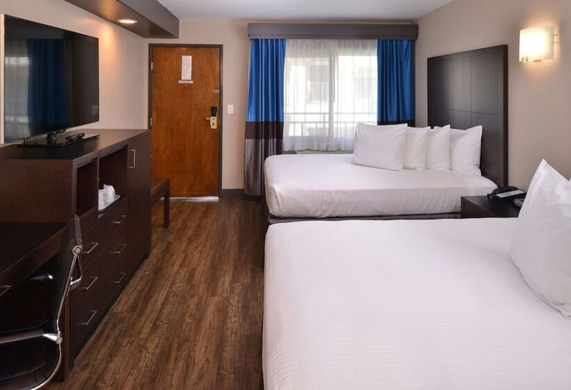 חדר דלוקס, Tarzana Inn