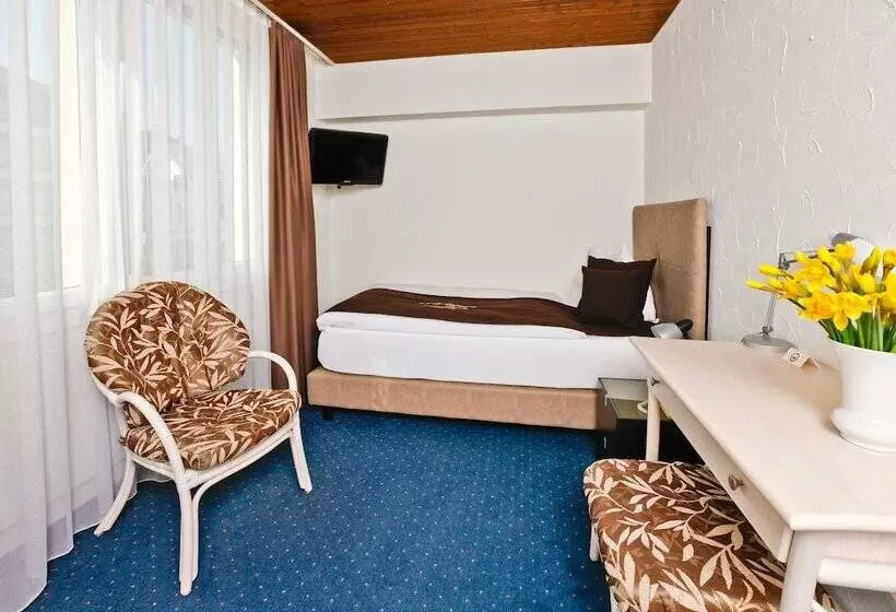 Standard Yhden Hengen Huone, Seehotel Pilatus