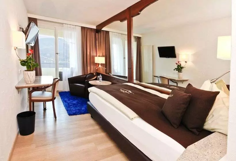 Standard Yhden Hengen Huone, Seehotel Pilatus