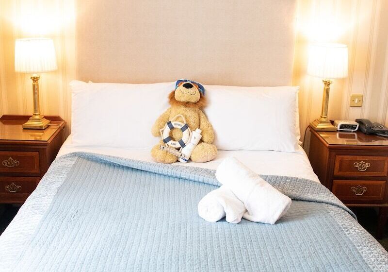 غرفة قياسية فردية, Abbey Hotel Roscommon