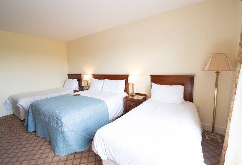 غرفة قياسية ثلاثية, Abbey Hotel Roscommon