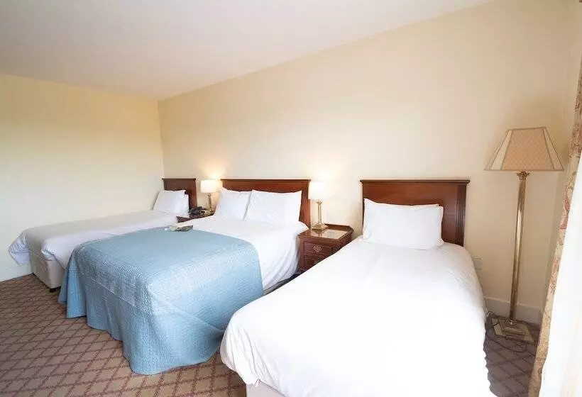 ファミリールーム, Abbey Hotel Roscommon