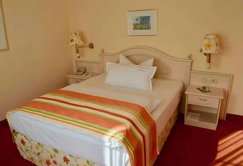 Comfort Yhden Hengen Huone, Braunschweiger Hof