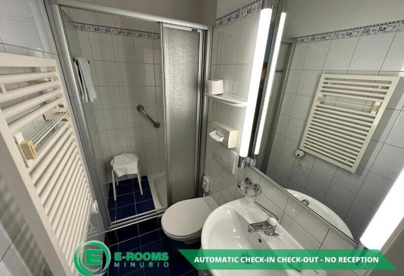 Номер Economy Индивидуальный, Erooms Minusio