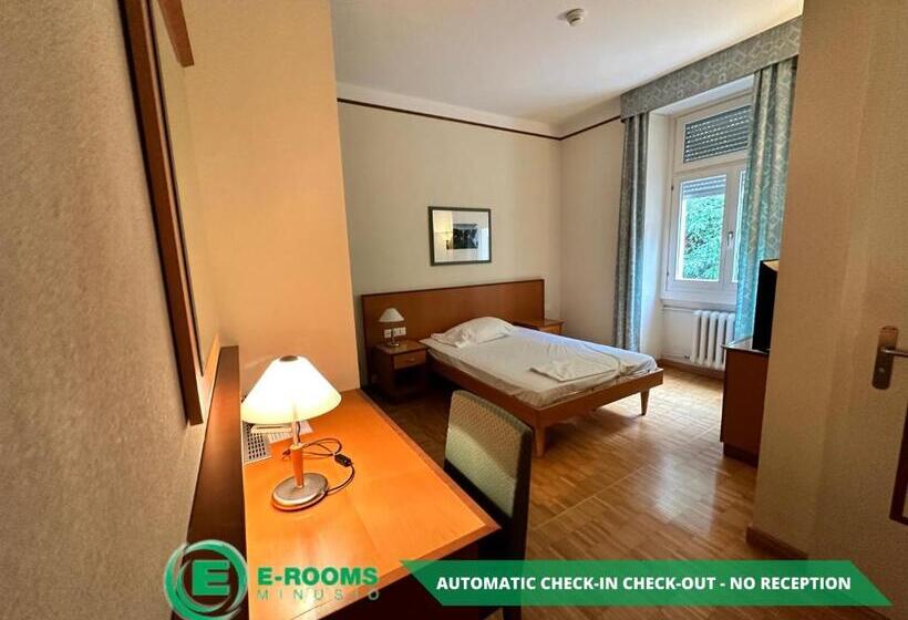 Номер Economy Индивидуальный, Erooms Minusio