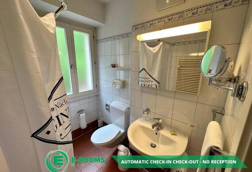 Номер Economy Индивидуальный, Erooms Minusio