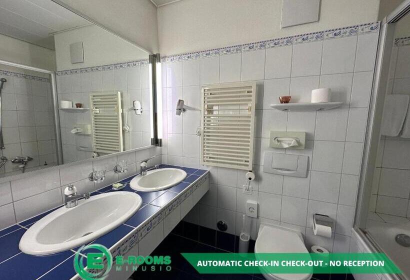 Номер Стандарт Вид на Озеро, Erooms Minusio