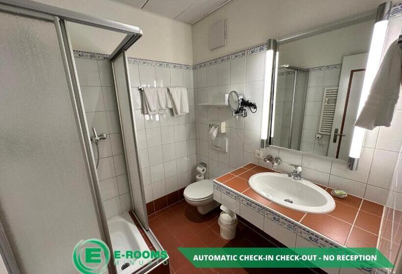 Номер Economy, Erooms Minusio