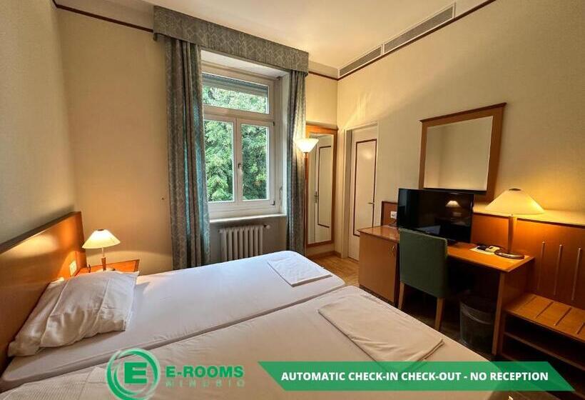 Номер Стандарт, Erooms Minusio