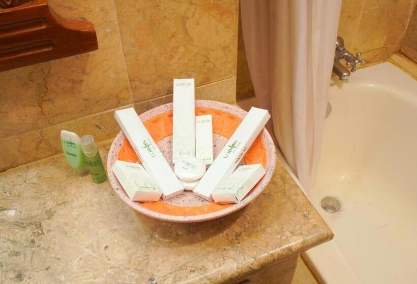 エクゼクティブルーム, Lorin Solo