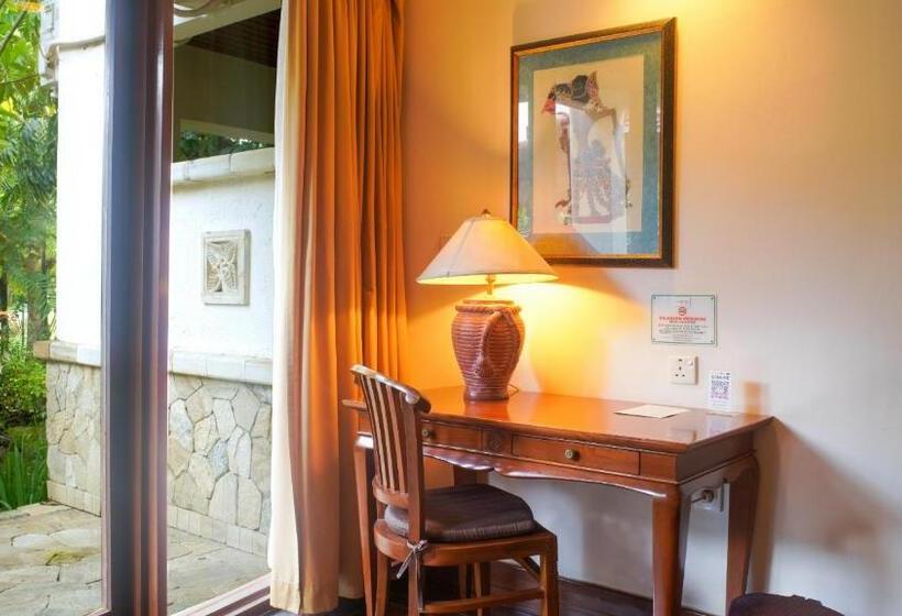 エクゼクティブルーム, Lorin Solo