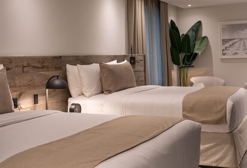 豪华套房, Nassau Suite South Beach, An All Suite