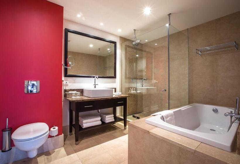 آپارتمان 1 خوابه, Radisson Blu Hotel, Antwerp City Centre
