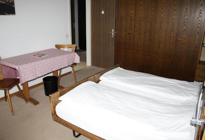 バス共有のスタンダードルーム, Sonne St. Moritz 3 Superior