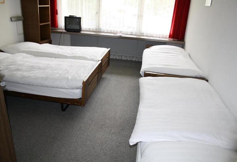 スタンダード4人部屋, Sonne St. Moritz 3 Superior