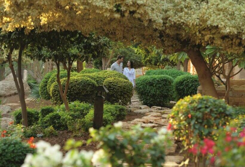 キングサイズベッドのデラックスルーム, Mövenpick Resort & Spa Dead Sea