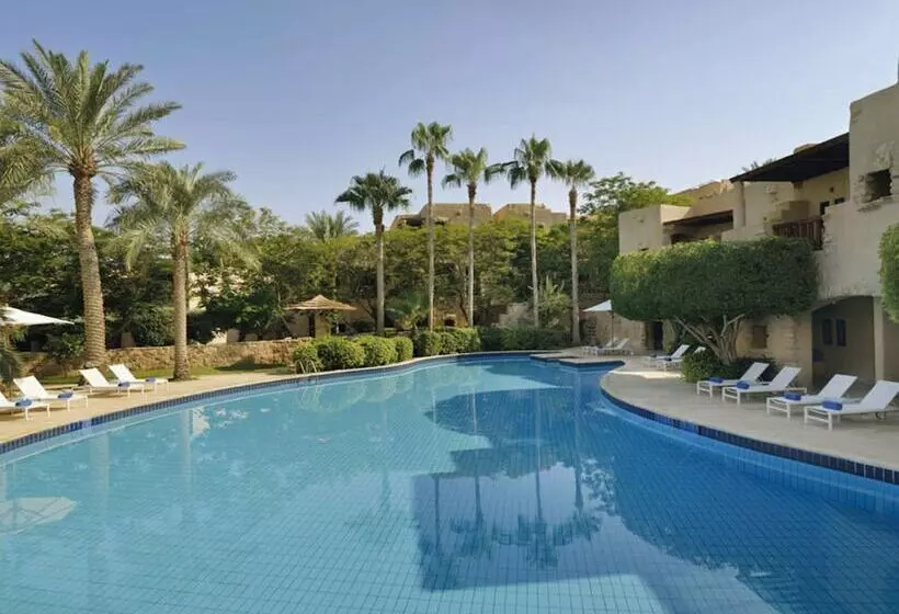 Premium Room Pool View, Mövenpick Resort & Spa Dead Sea