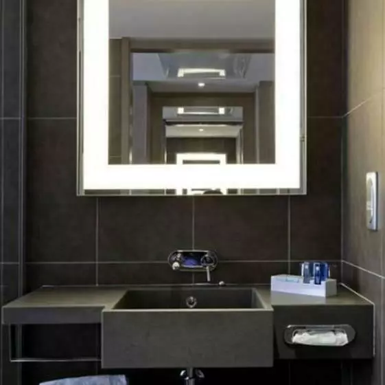 اتاق اجرایی, Novotel Paris Charles De Gaulle Airport