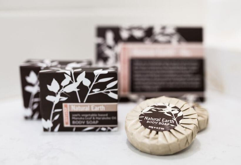 דירת דלוקס 2 חדרי שינה, St Ives Apartments