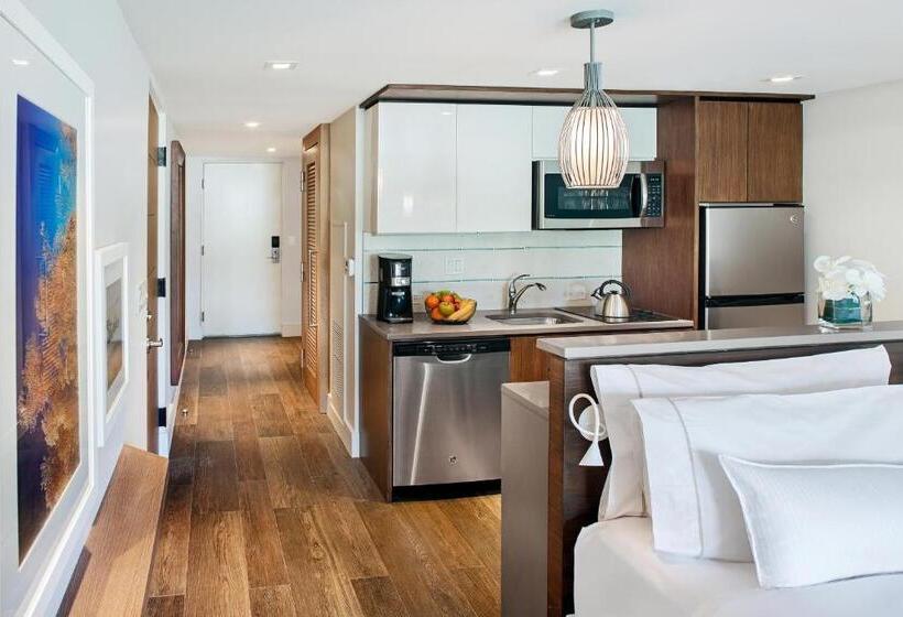 استودیو استاندارد با تخت کینگ, The Westin St. John Resort Villas