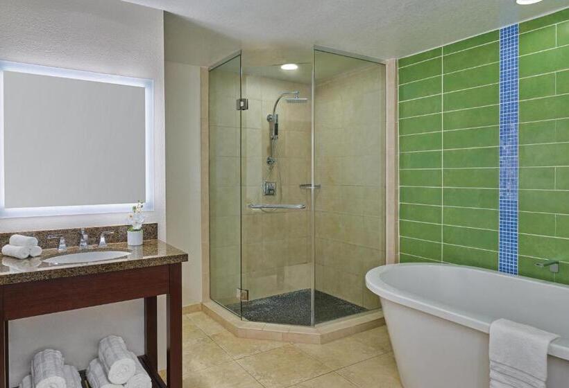 Appartement met 2 Slaapkamers en Balkon, The Westin St. John Resort Villas