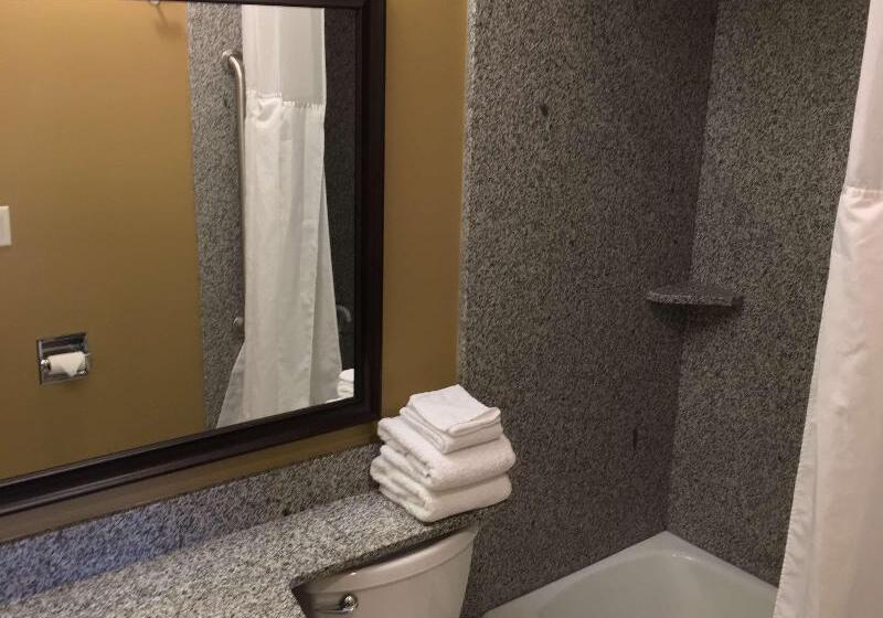 Номер Стандартный Кровать Куин, Best Western Falcon Plaza   Bowling Green