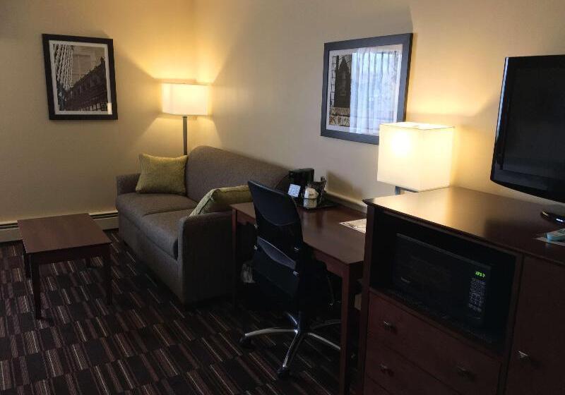 غرفة قياسية سرير ملكى, Best Western Falcon Plaza   Bowling Green