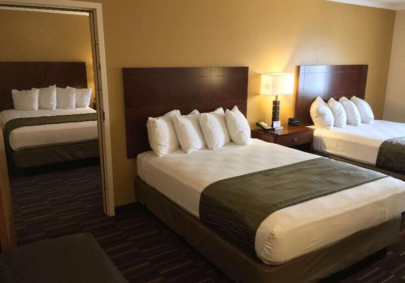 غرفة قياسية سرير ملكى, Best Western Falcon Plaza   Bowling Green