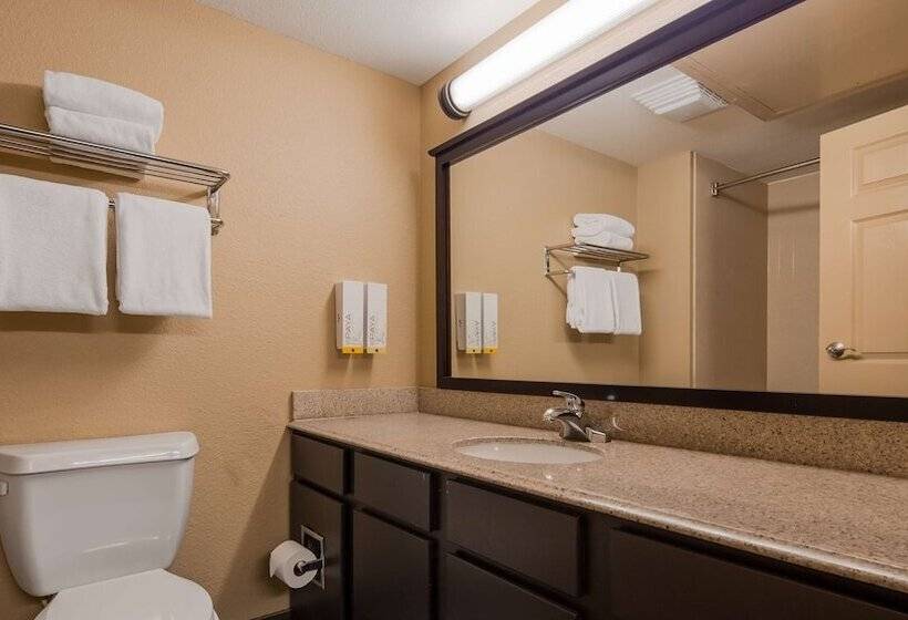 Номер Стандарт 2 Двуспальные Кровати, Best Western Of Alexandria Inn & Suites & Conference Center