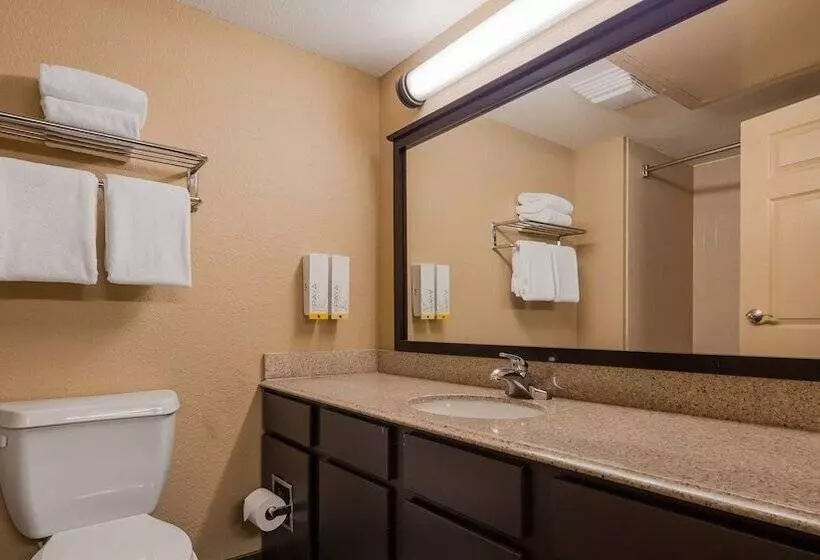 سوییت, Best Western Of Alexandria Inn & Suites & Conference Center