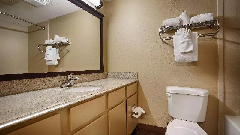 اتاق استاندارد با تخت دو نفره بزرگ, Best Western Of Alexandria Inn & Suites & Conference Center
