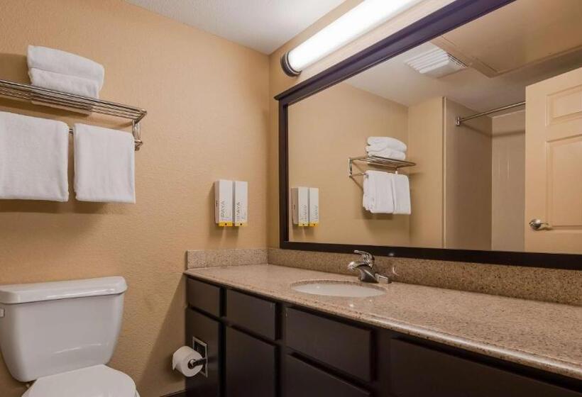 带特大床的标准间, Best Western Of Alexandria Inn & Suites & Conference Center