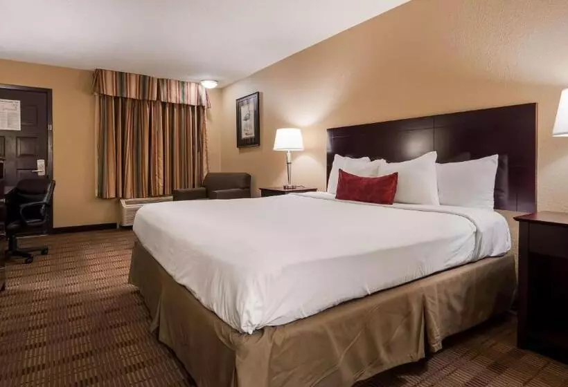 سوئیت با تخت بزرگ, Best Western Of Alexandria Inn & Suites & Conference Center