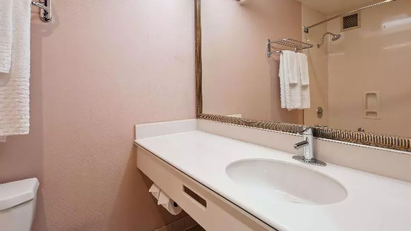 اتاق استاندارد با تخت بزرگ, Best Western Plus Suites Hotel   Los Angeles Lax Airport