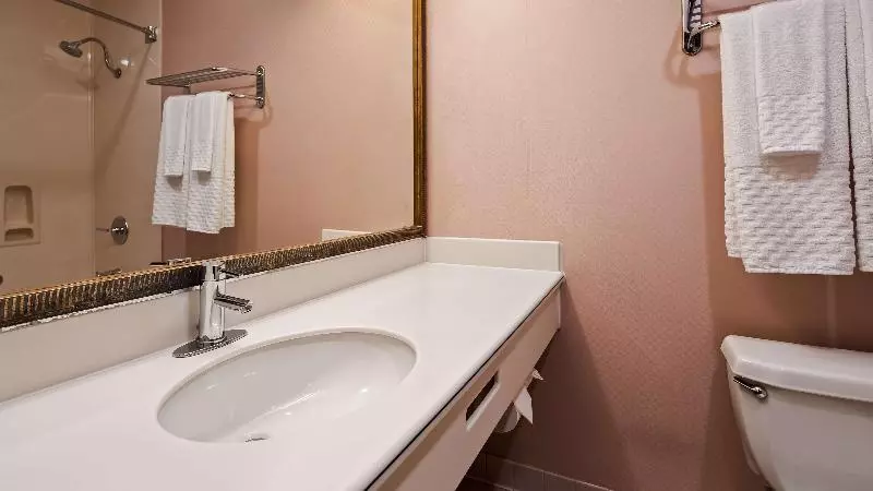 اتاق استاندارد با تخت بزرگ, Best Western Plus Suites Hotel   Los Angeles Lax Airport