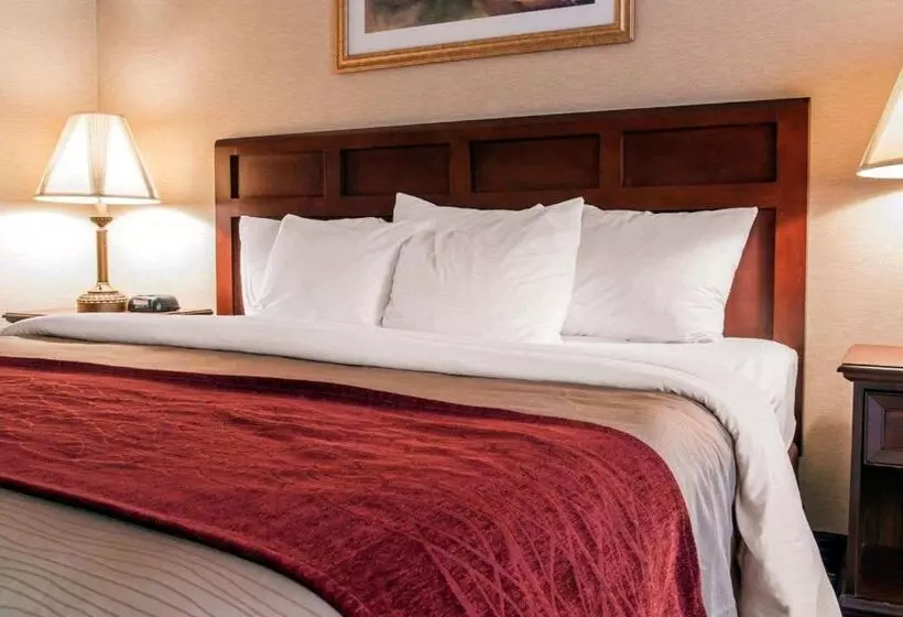 キングサイズベッドのスタンダードルーム, Comfort Inn Livonia