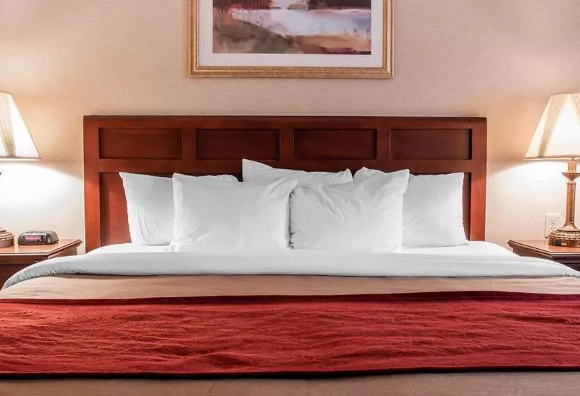 キングサイズベッドのスタンダードルーム, Comfort Inn Livonia