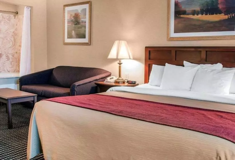 キングサイズベッドのスタンダードルーム, Comfort Inn Livonia