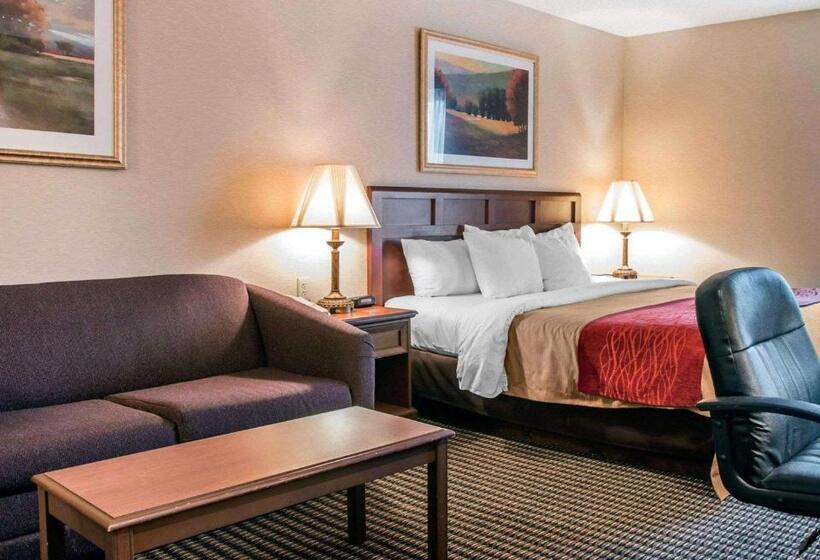 غرفة قياسية سرير كينج, Comfort Inn Livonia