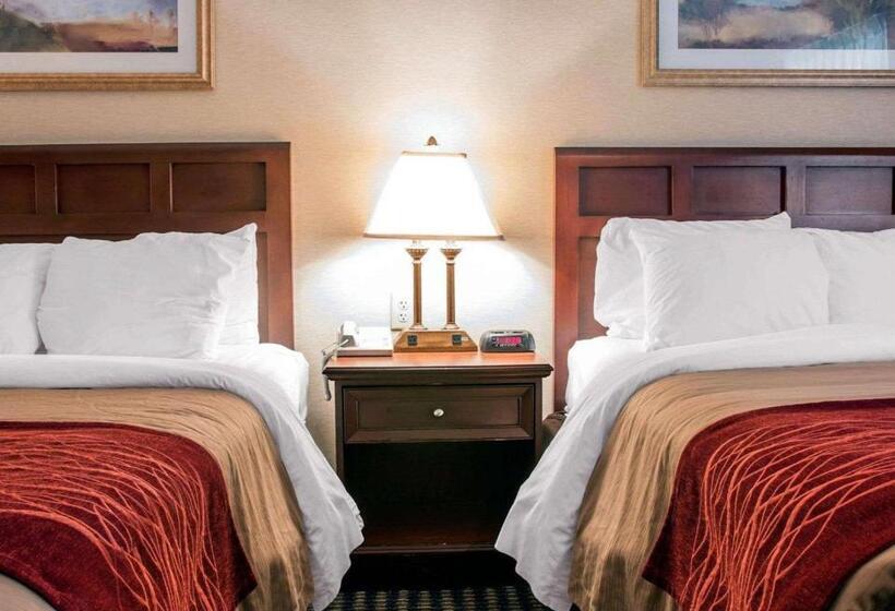 غرفة قياسية, Comfort Inn Livonia
